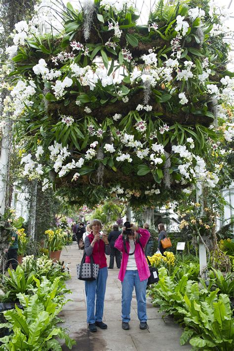 Stunning Photos From The New York Botanic Gardens Annual Orchid Show