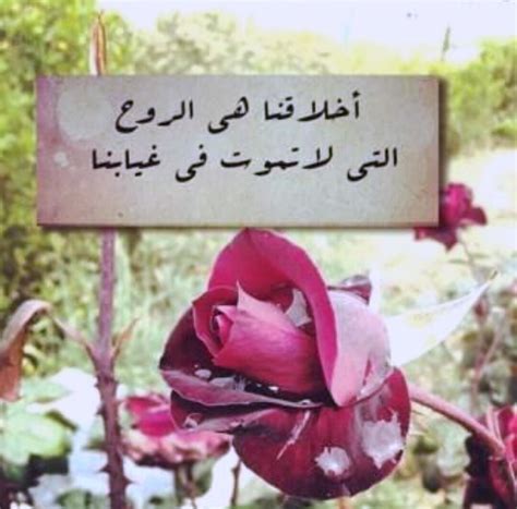 صور عن الاخلاق اجمل الصور المعبرة عن الاخلاق حكم على آداب بالصور
