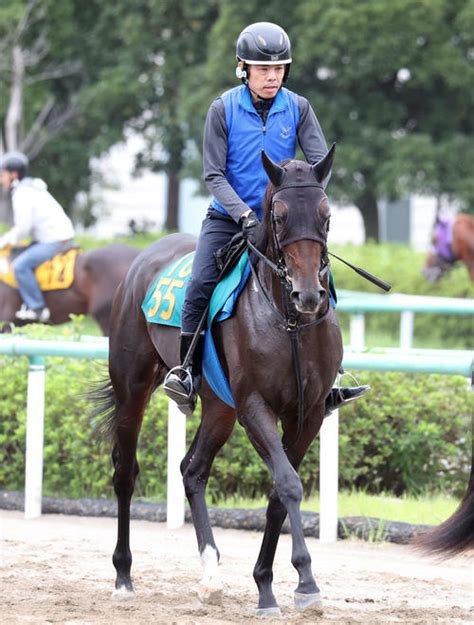 アマキヒは3冠牝馬アパパネを母に持つ 国枝師「胴長でスラリとしている」／新馬戦 2歳馬特集 競馬 日刊スポーツ