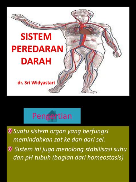 PDF SISTEM PEREDARAN DARAH Pptx DOKUMEN TIPS