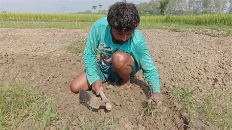 West Bengal Amid Lockdown Crop Theft Growing Concern Among Farmers India Today