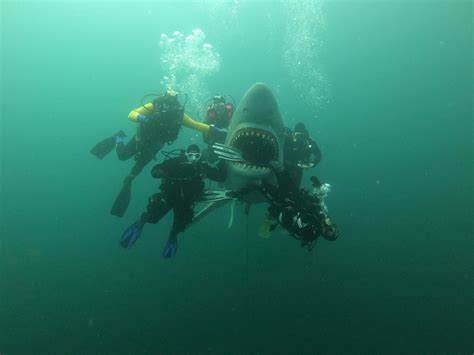 Hemmoor – Heidetaucher e.V.