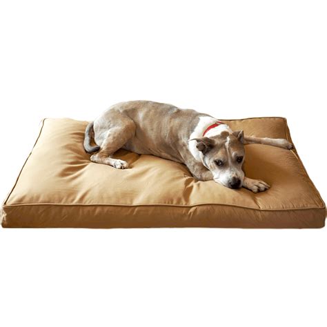 buy chew proof large extra large  xxl dog beds bullybedscom bullybedscom