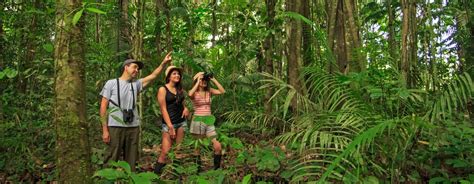 Luxury Tambopata Amazon Rainforest 4 Days-Tambopata Jungle
