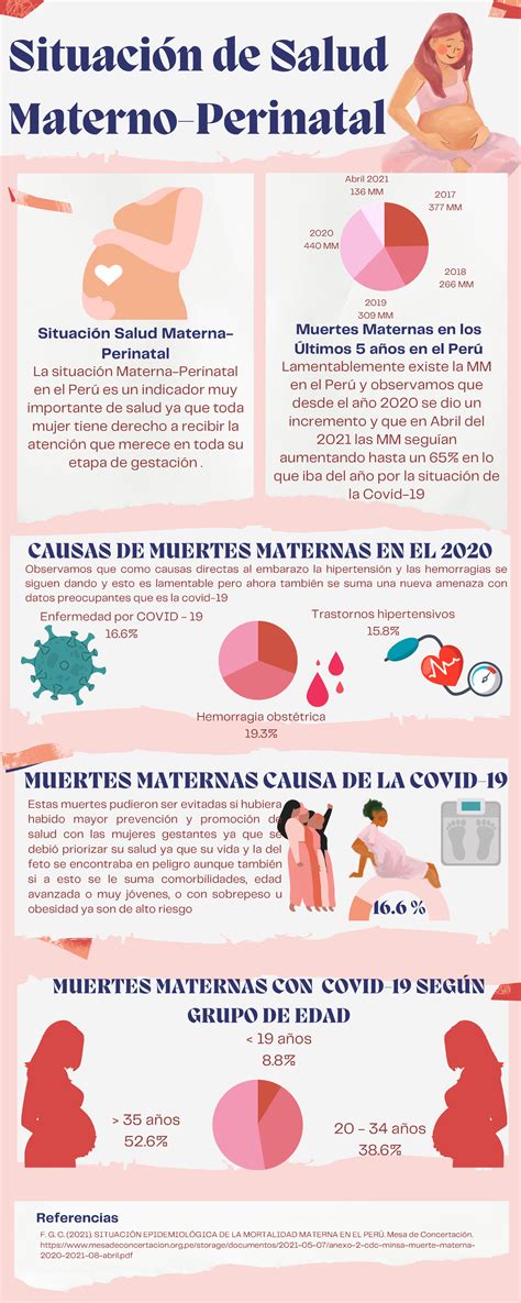 Infograf A Salud Materno Situaci N De Salud Materno Perinatal