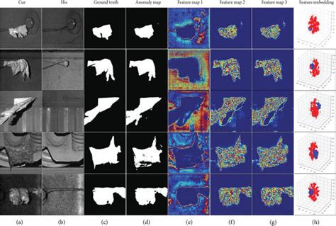 Visualization Of Feature Maps Generated By Layer D And Its Embedded