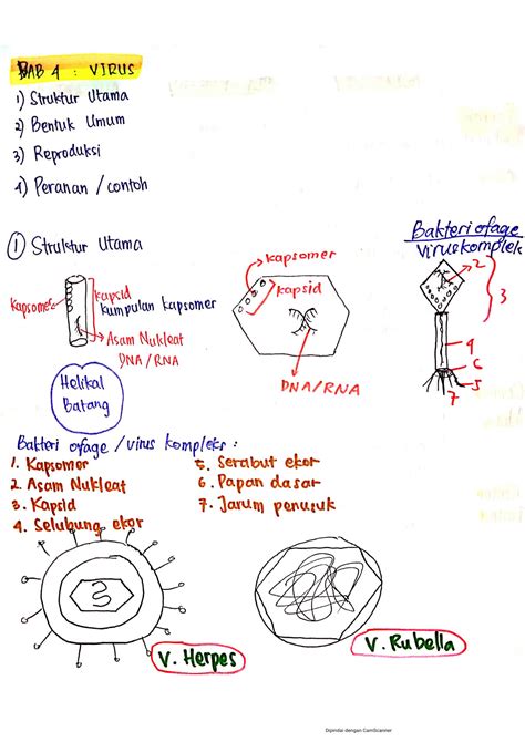 SOLUTION Catatan Biologi Virus Studypool