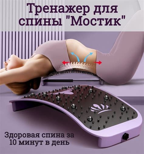 Тренажер, массажер "Мостик" для спины с магнитами Eureka фиолетовый ...