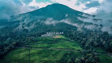 Green Paradise Di Pagar Alam Atourin