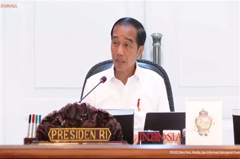 Jokowi Tunjuk Luhut Dan Airlangga Pimpin Gugus Tugas Eksekusi