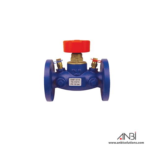 DRV Double Regulating Valve Flanged CI PN16 HERZ ANBI Online