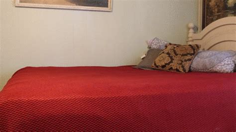 StonedSummersClips BBW Bikini Try On