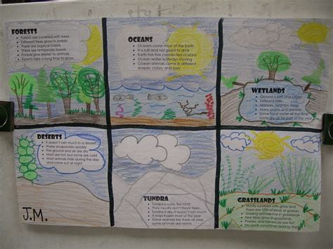 Ecosystem Lesson Plans 5th Grade