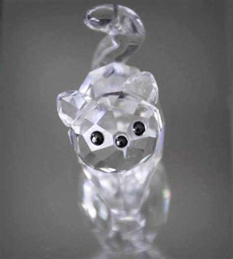 Crystal Cat by xFlowerCatx on DeviantArt
