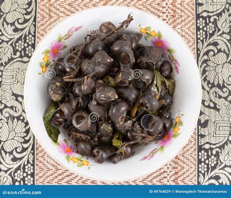 Periwinkle Currylocal Foods Of Thailand Stock Image Image Of Paste