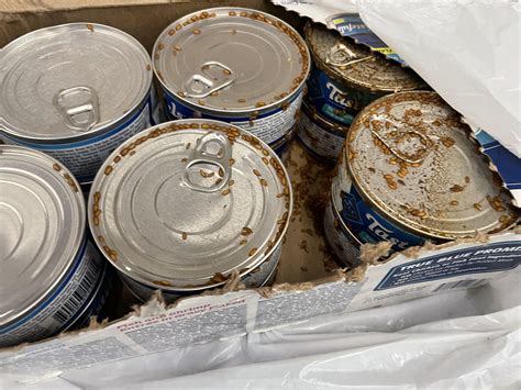 Work In Retail And Found This Rotting Box Of Cat Food In The Department