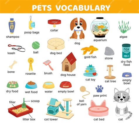 Animal De Estimação Em Inglês - Palavras em inglês para animais de estimação vocabulário tapete de ...