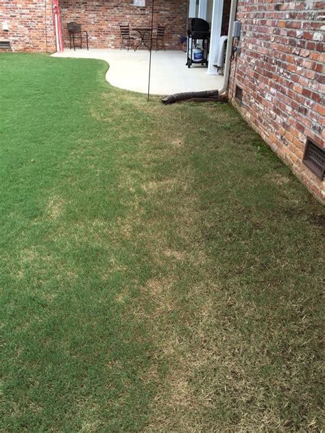 ARMY WORMS BACK IN MY YARD!! Pics included | LawnSite™ is the largest