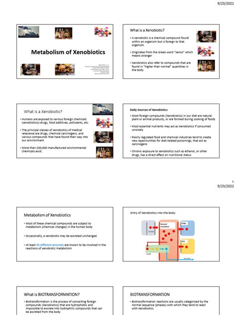 Metabolism of Xenobiotics | PDF | Drug Metabolism | Cytochrome P450
