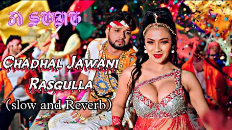 3D Chadhal Jawani Rasgulla Slowed Reverb चढल जवन रसगलल Neelkamal