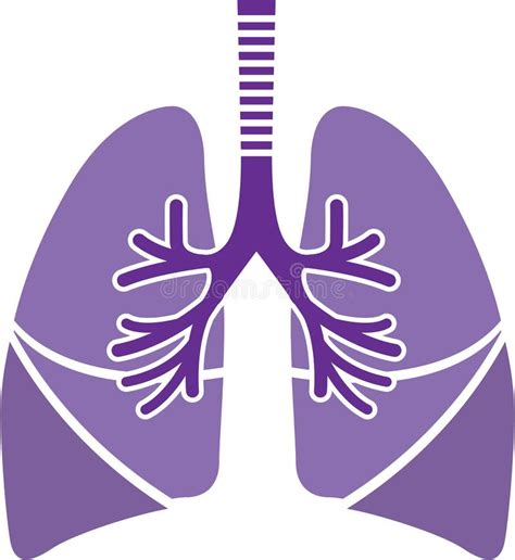 Healthy Lungs Stock Vector Image Of Illustration Biology