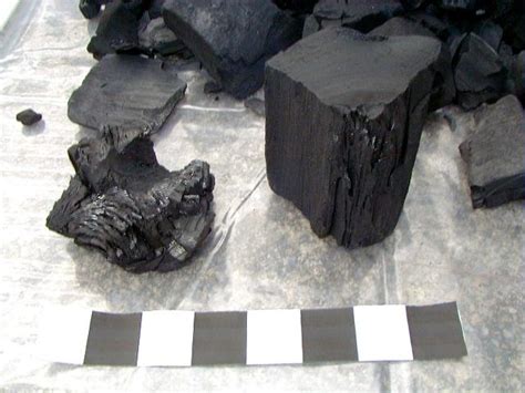 Review Of Maple Leaf Lump Charcoal Naked Whiz Ceramic Charcoal Cooking