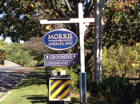 morris animal inn new jersey 6