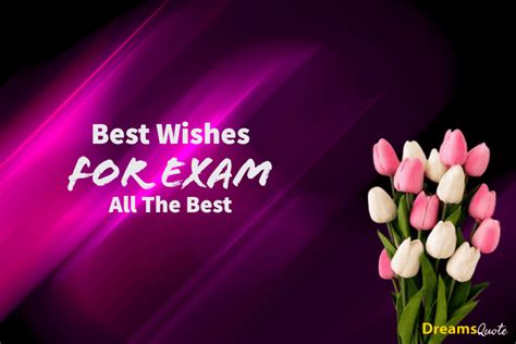 wishes  exam    dreams quote