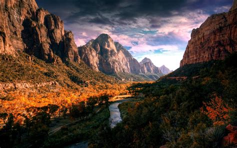 Desert Sunset Landscape Trees Nature Fall Zion National Park