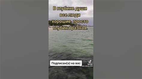 Не заплываем за буйки😀 - YouTube