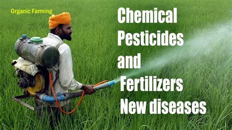 Organic insecticides and pesticides - eodop