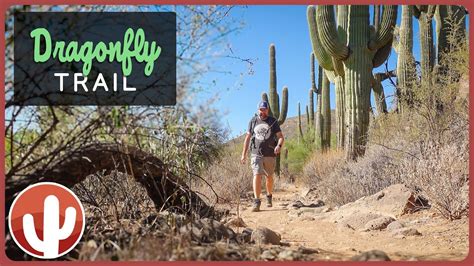 Desert Serenity Hiking The DRAGONFLY TRAIL In Jewel Of The Creek