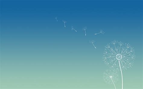 Семена одуванчика, фон Убунту - обои для рабочего стола, картинки, фото