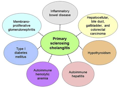 Diseases Associated With Primary Sclerosing Cholangitis Psc It Is Download Scientific