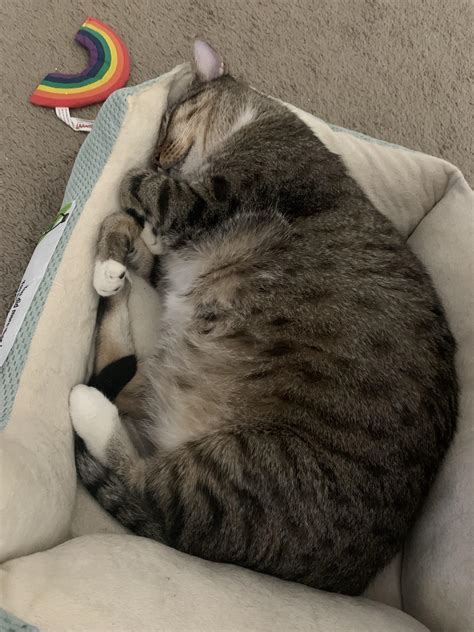 780 Best Tortellini Images On Pholder Food Slowcooking And Food Porn