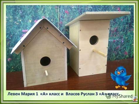 Презентация на тему: "Скворечник - закрытое искусственное гнездовье для ...