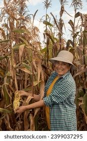 Happy Latina Woman Smiling With Teeth Showing Portrait Photos And Images Shutterstock