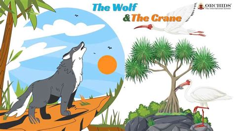 The Wolf And The Crane Story For Kids With Moral Orchids