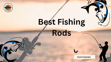 A Complete Guide To Fishing Rods And Reels Cast With Confidence