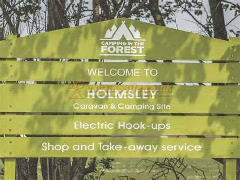 Holmsley Camping In The New Forest , Christchurch Campsites, Dorset