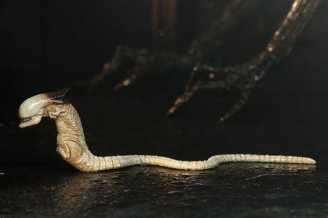 Чужой собака фигурка Neca: купить коллекционную фигурку Ultimate Dog ...