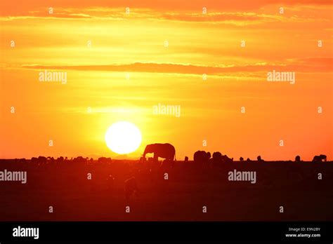 Masai Mara Sunrise Stock Photo - Alamy
