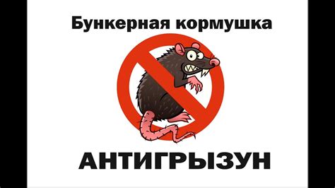 Бункерная кормушка "Антигрызун" - YouTube