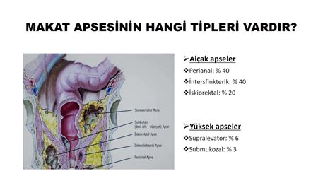 Makat Apsesi Anal Apse YouTube
