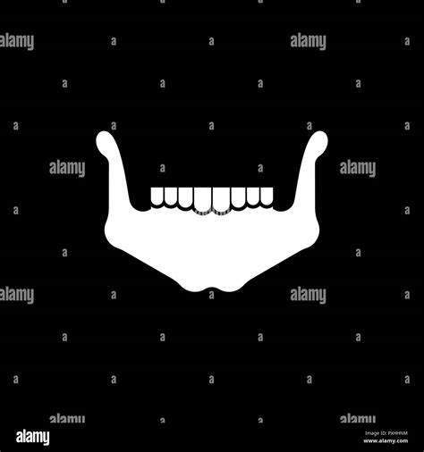 Mandible Lower Jaw Bone Skeleton Anatomy Human Skeletal System Cross