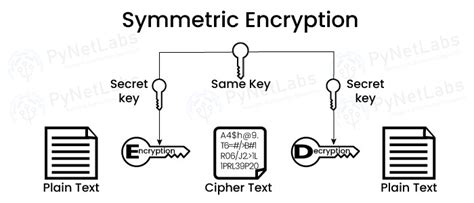 Difference Between Encryption And Hashing Pynet Labs