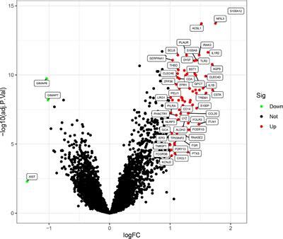 Frontiers Integrated Bioinformatics Based Analysis Of Hub Genes And