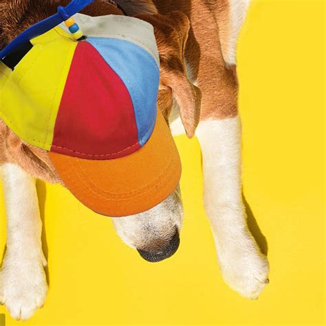 Dog Hats With Funny Propeller Size And Rope Double Adjustment Pet Hats