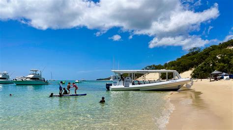 The Great Escape Island Sunset Tour From Brisbane River To Bay