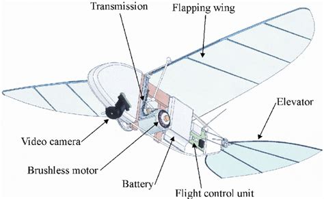 1 Solidworks Tm Rendering Of A Typical Ornithopter Design Download